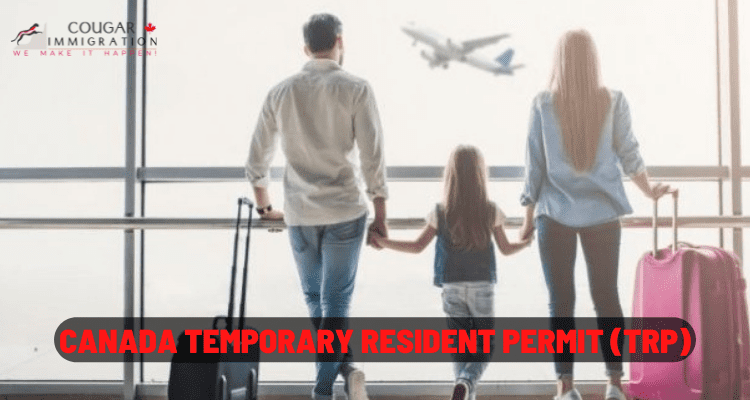 How To Apply For A Canada Temporary Resident Permit TRP