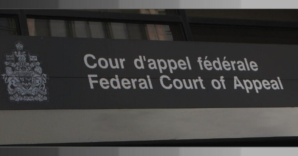 Appeals To Federal Court Of Appeal | Cougar Immigration