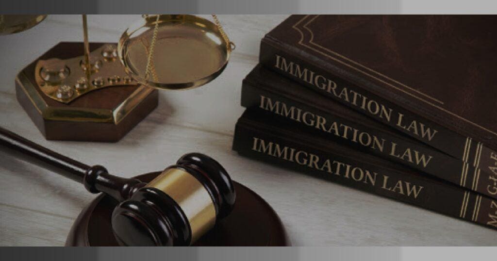 Immigration Litigation | Cougar Immigration