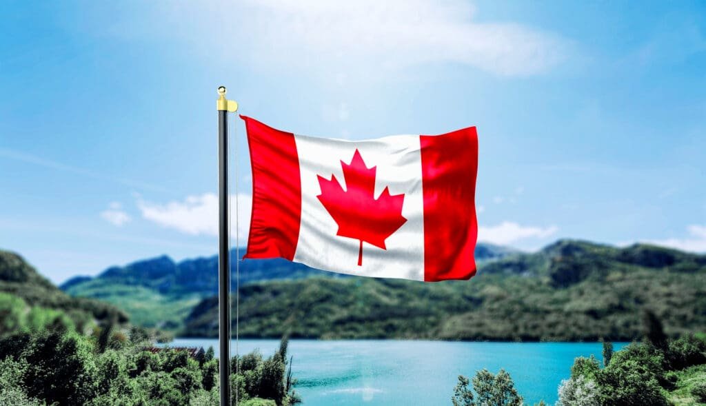 Immigration Consultant in Windsor
